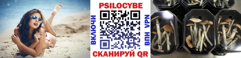 Псилоцибиновые грибы Cubensis  купить  сайты  Бахчисарай 